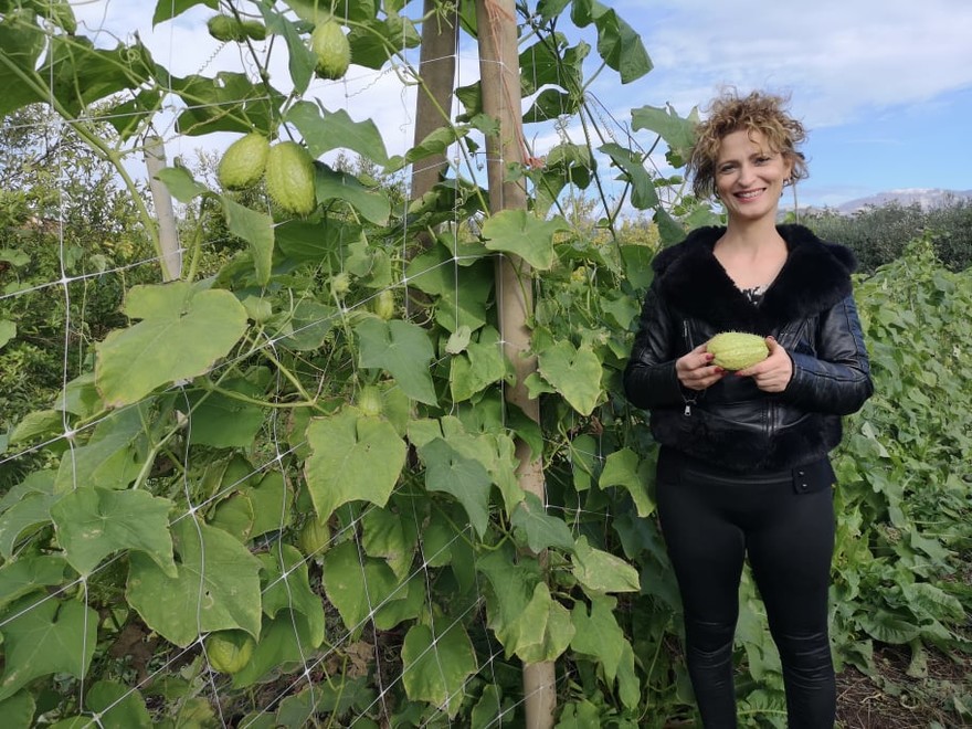 La filosofia dell'azienda agricola Olleia sposa una dieta sana