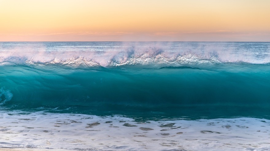 La natura del mare sbarca a Rimini